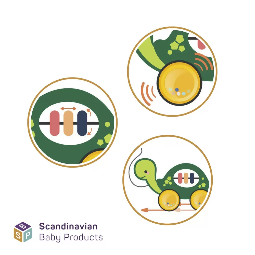 SBP Skildpadde