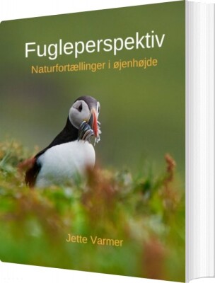 Fugleperspektiv - Jette Varmer - Bog