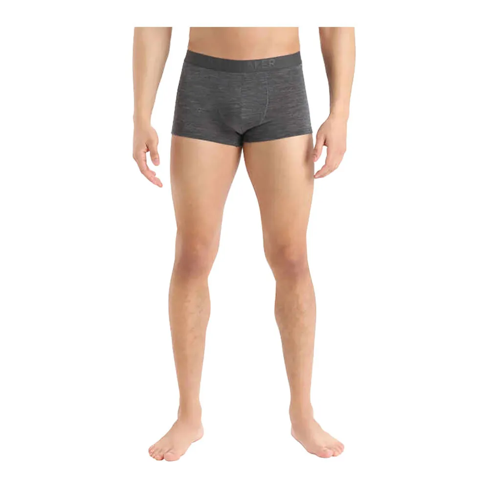 Icebreaker ANATOMICA COOL-LITE - Boxer Homme monsoon hthr