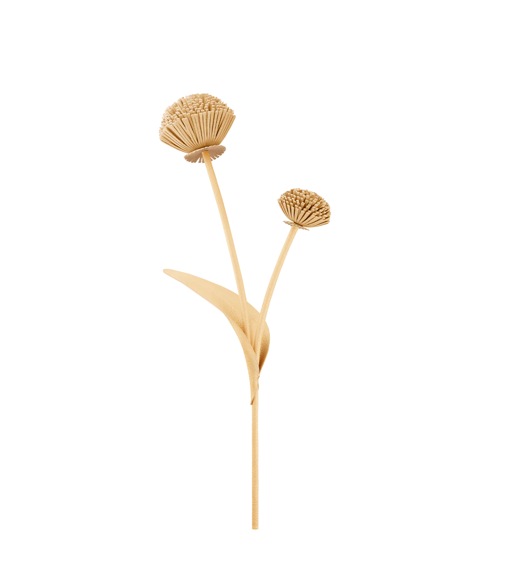 Fleur Tul - Duo Blé Grainé