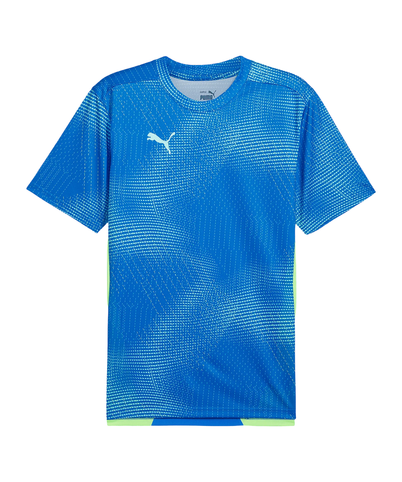 PUMA individualFINAL Trikot Blau F02