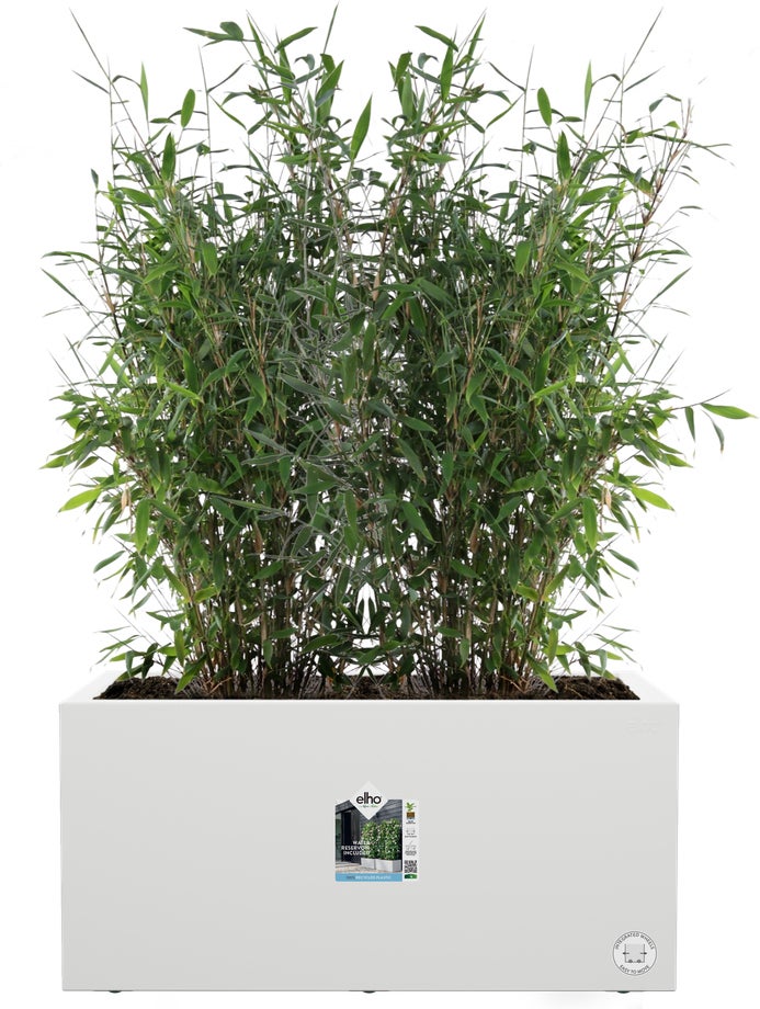 Elho plantenbak Vivo Next wit 78 x 39 x 37,9 cm