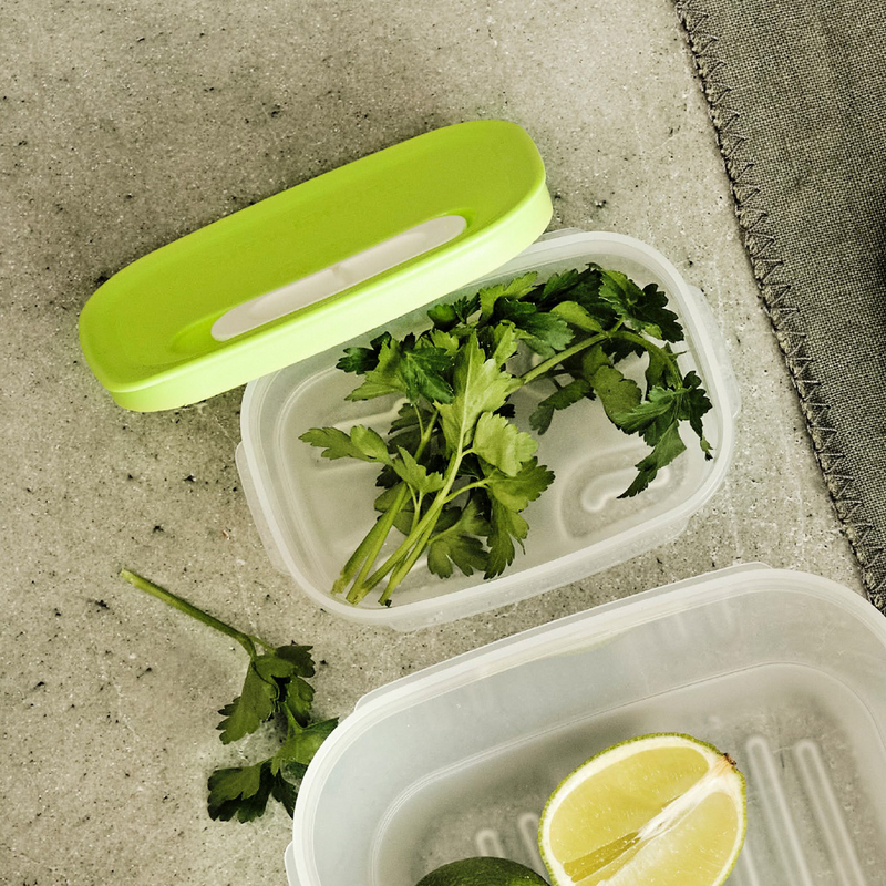 KlimaOasen-Set (5) Grundausstattung zum Frischhalten von Gemüse, Obst und Kräuter