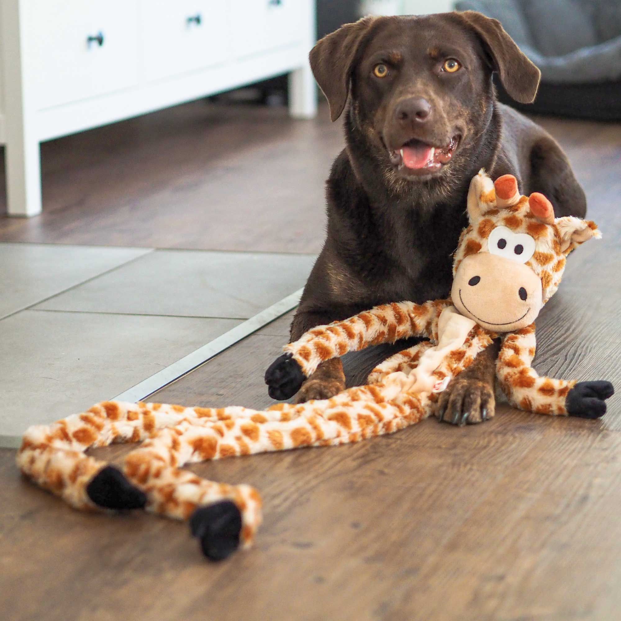 Giraffe XL - 113 cm lang Plüschspielzeug für Hunde