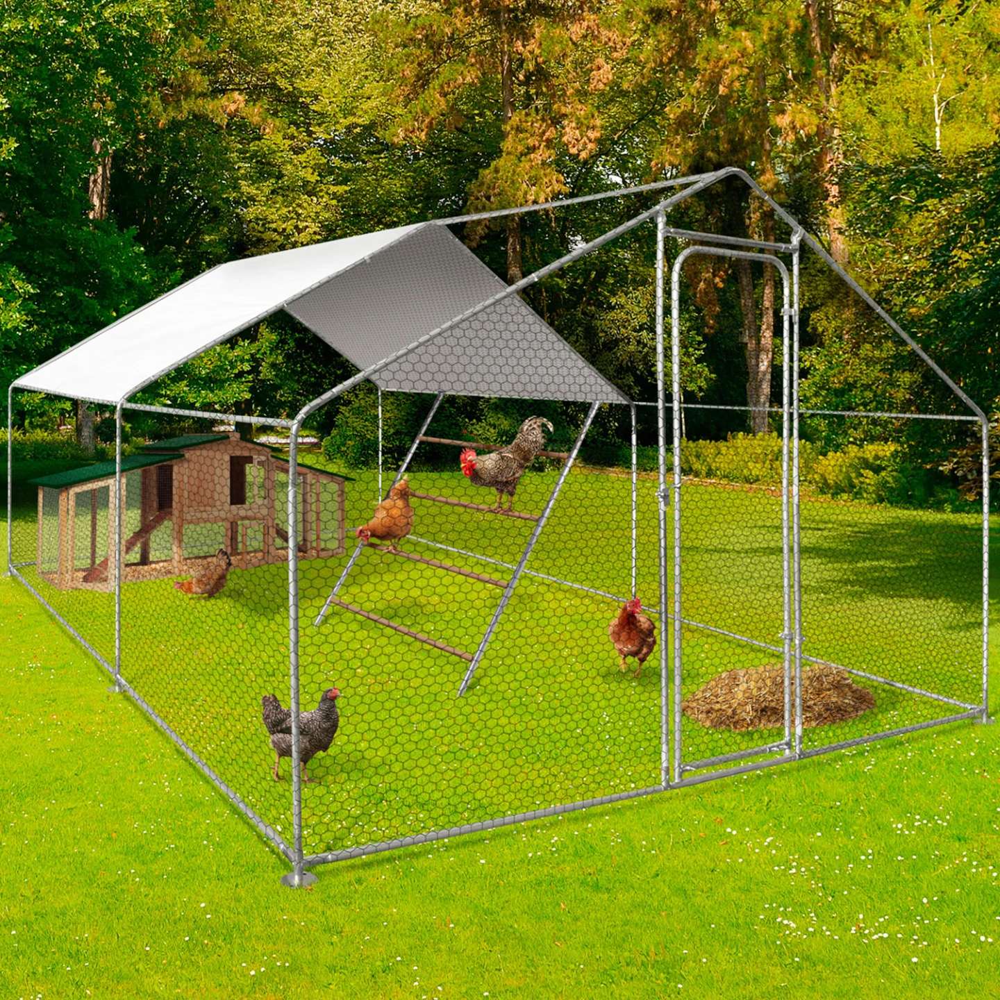 Grand perchoir pour poules 4 niveaux en bois compatible enclos