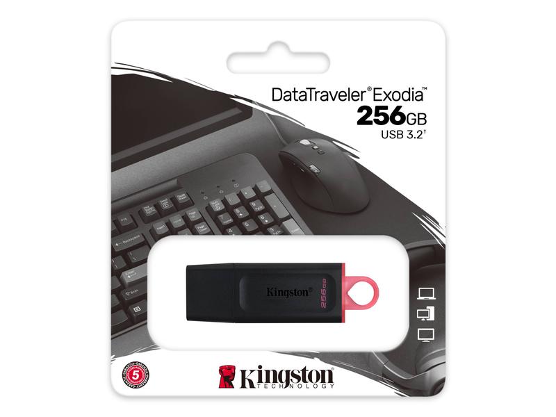Kingston USB-Stick DataTraveler Exodia 256 GB USB-Stick mit 256 GB Speicherkapazität und 100 MB/s Lesegeschwindigkeit