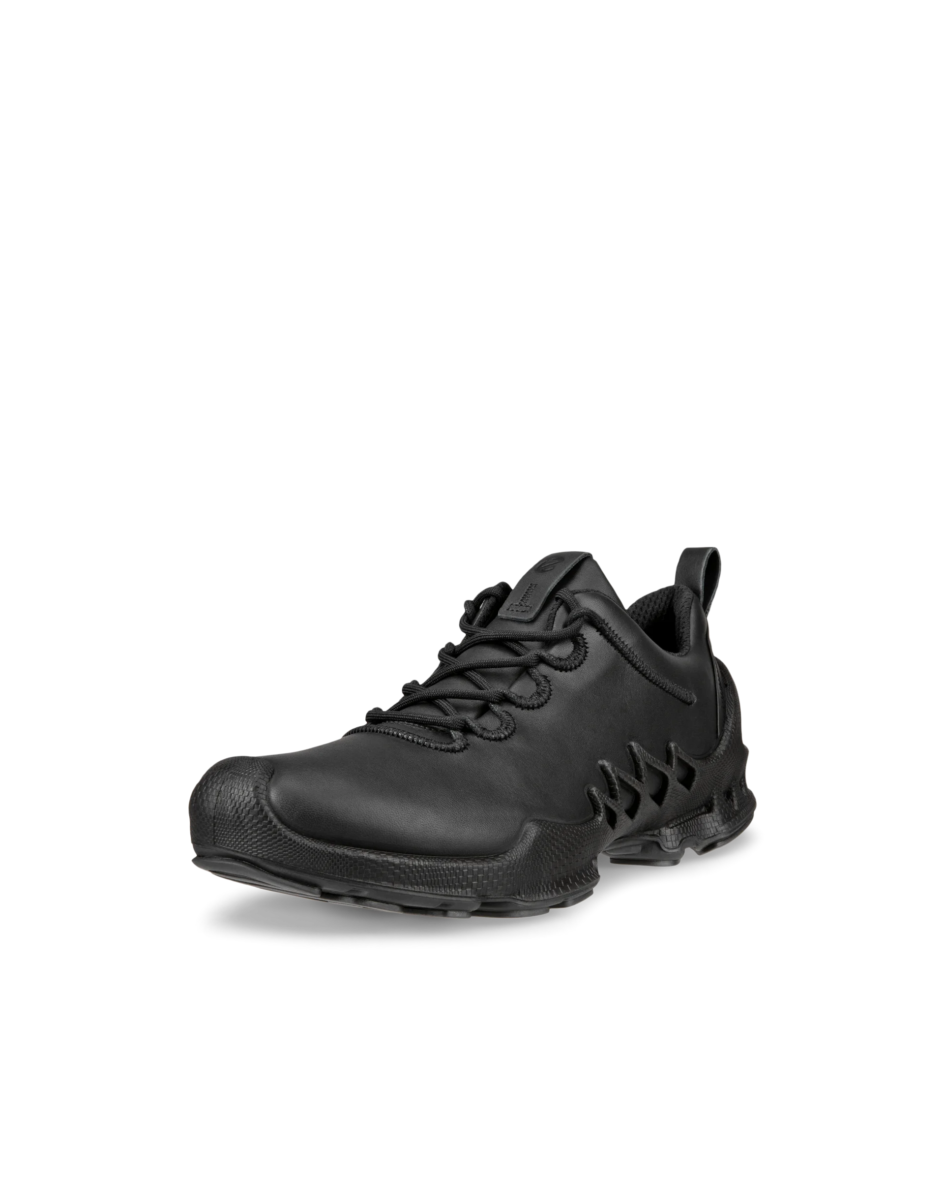 ECCO BIOM AEX W Damen Lederschuh Schwarz