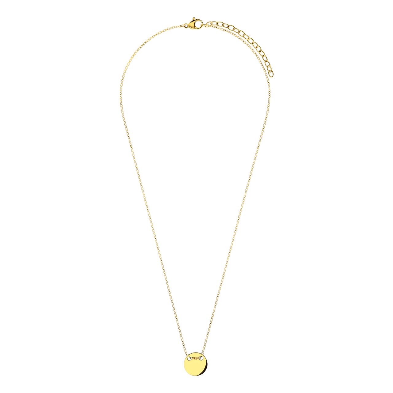 Gerecycled stalen goldplated ketting met munt hanger