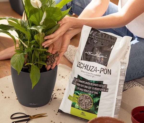 LECHUZA®-PON Pflanzensubstrat