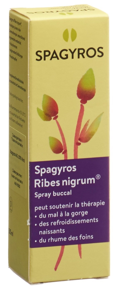 Spagyros Ribes nigrum Mundspray Spray 1 D 30 ml