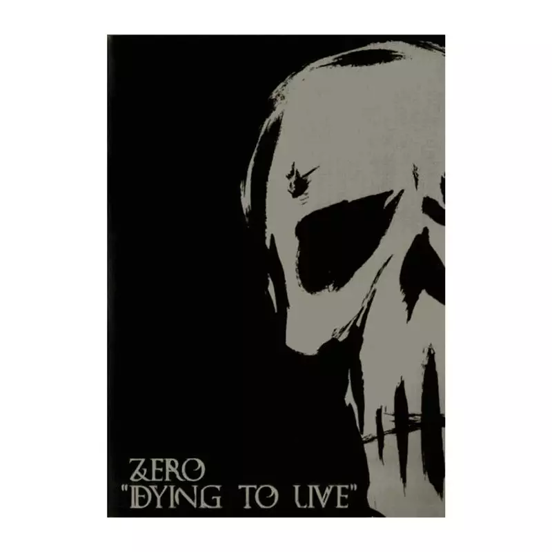 DVD ZERO SKATEBOARDS dying to live