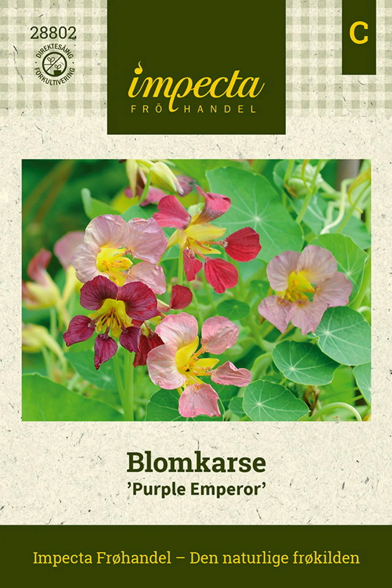 Tropaeolum majus 'Purple Emperor' Blomkarse 'Purple Emperor'