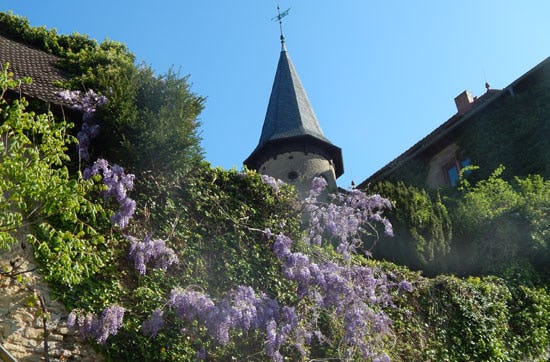 Schnaps brennen Schlüchtern