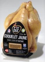 P'tit Duc Französisches Stubenküken