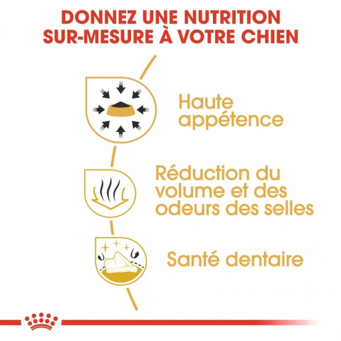 Royal Canin Chihuahua Adult - Croquettes pour chien