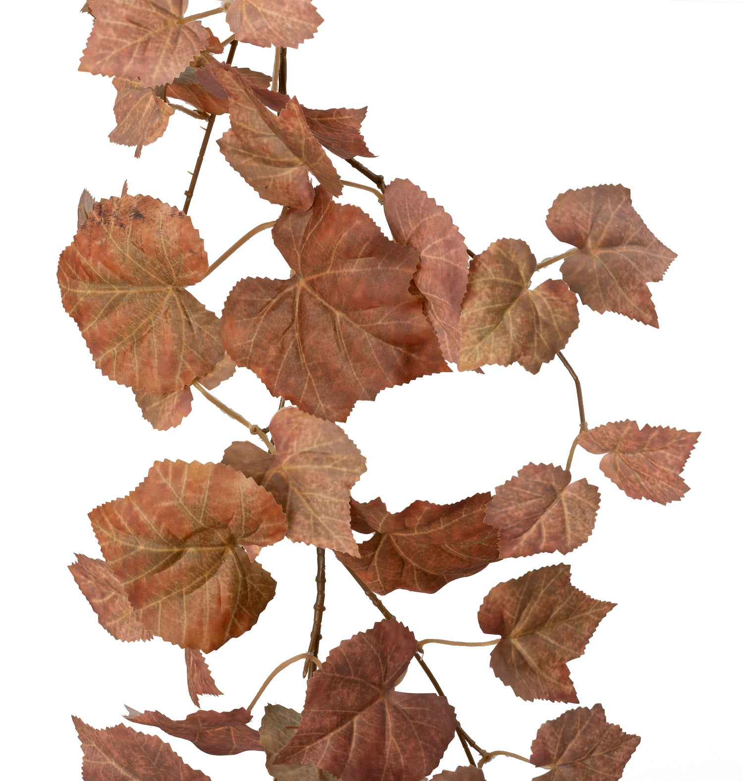 Intratuin kunsthangplant Druif bruin 5 x 25 x 170 cm
