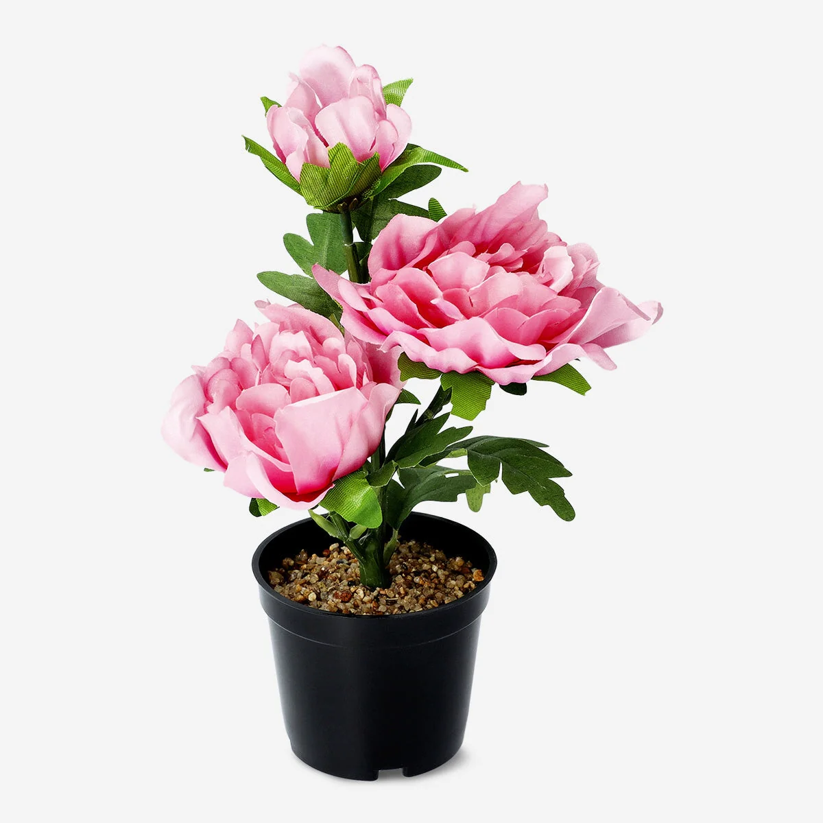 Dekorativ lyserød blomst