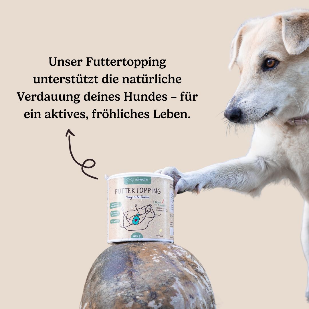 Hunderunde Futtertopping Magen & Darm