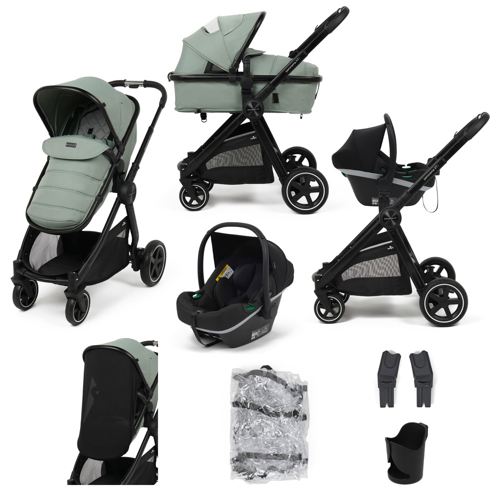 Panorama XTi by Bablyo 2-in-1 Reisesystem mit R129 Autositz - Blatt
