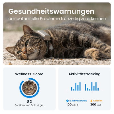 Tractive GPS Tracker Cat5 Mini für Katzen hellbraun
