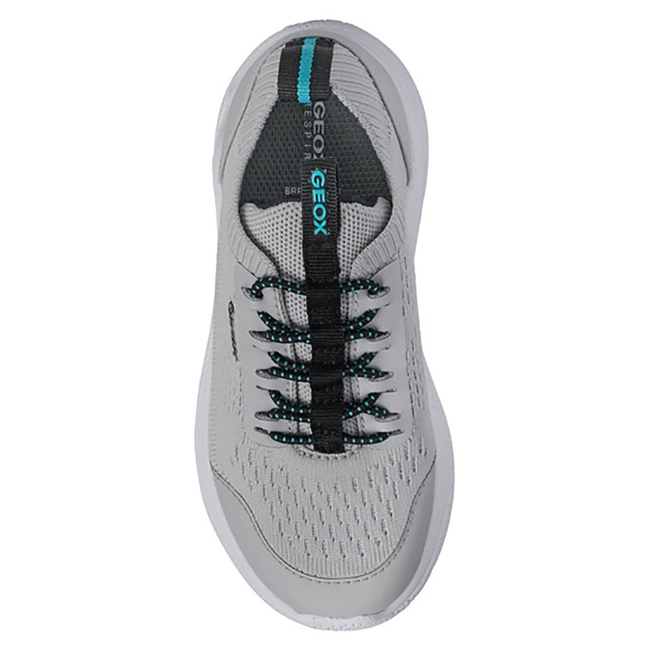 Geox Baskets Sprintye gris pâle