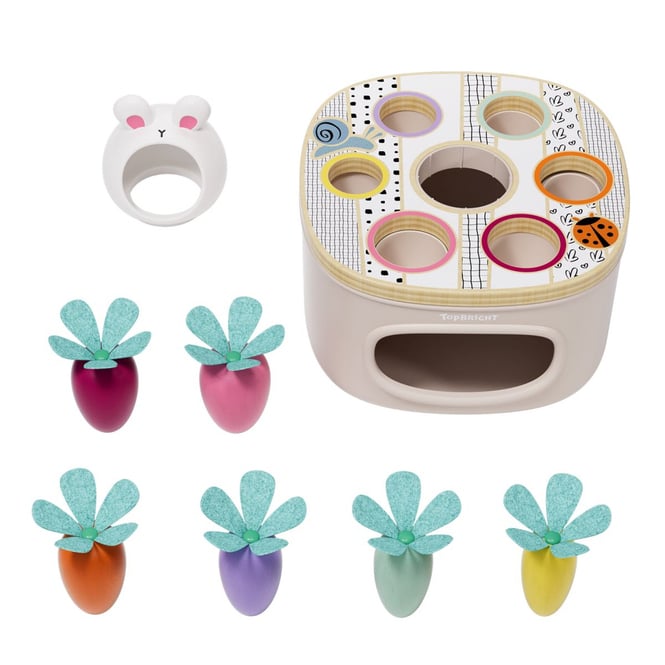 Top Bright - Sortierspiel Karotte - 9 Teile