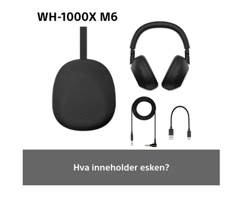 Sony WH-1000XM6 - Silver
