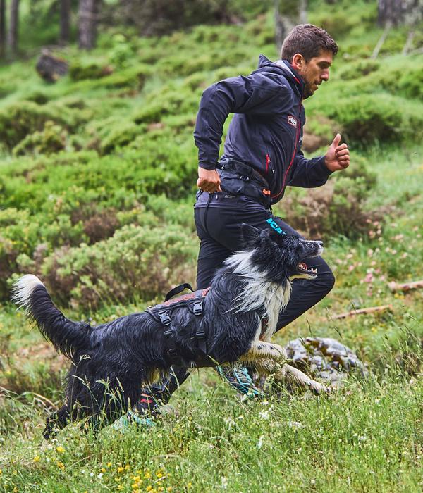 Non-stop dogwear Mehrzweck-Hundegeschirr Rock