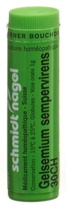 SN Gelsemium sempervirens Globuli CH 30, 1 g
