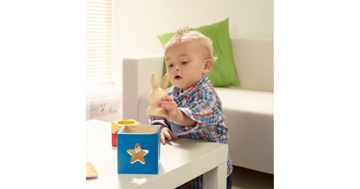 SmartGamesBunny Boo Denkspel  (Nederlands, 1 speler, Vanaf 2 jaar, 60 opdrachten)