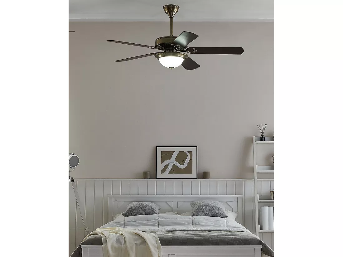 Ventilateur de plafond avec lampe BEGEJ Avec télécommande Marron foncé