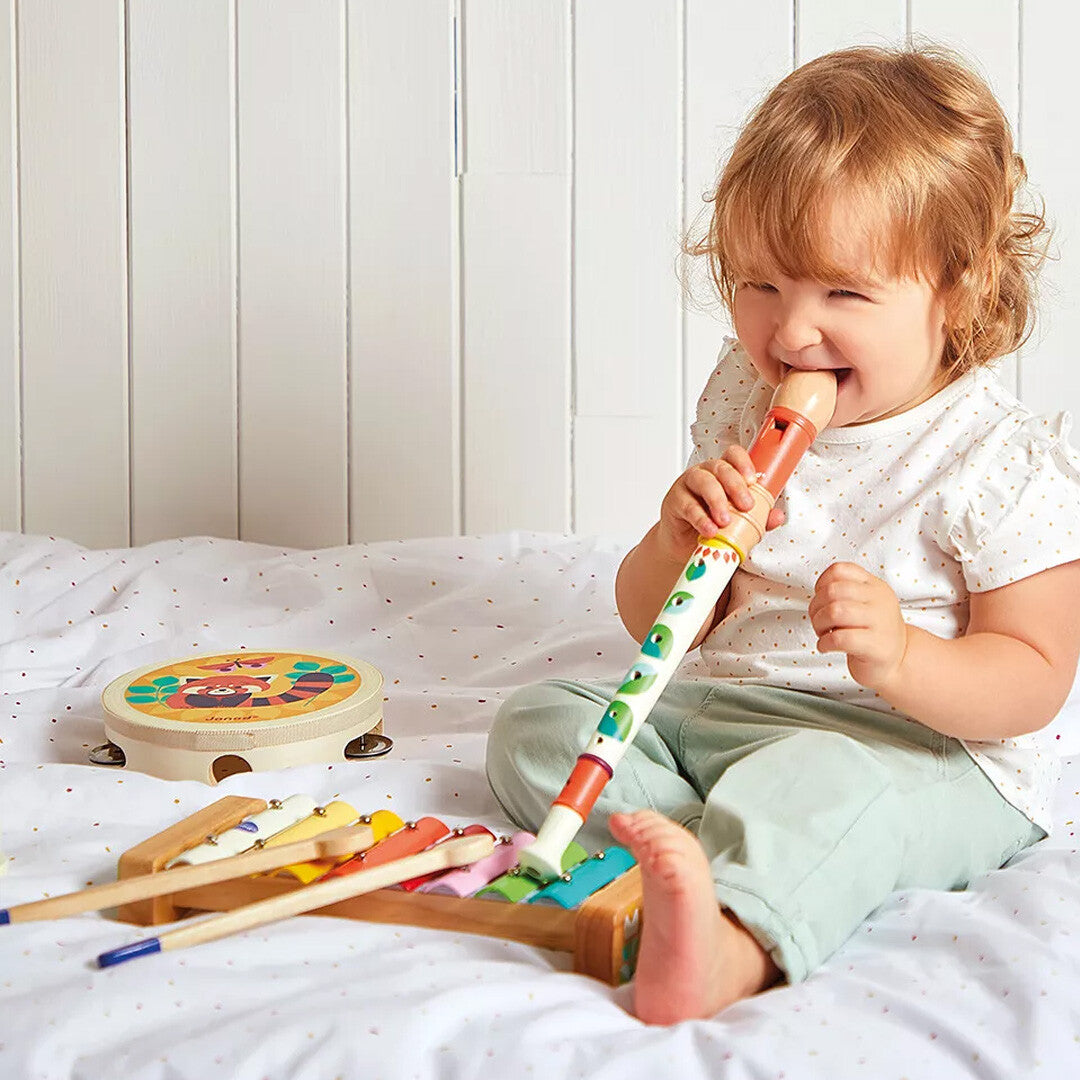 Janod gioia muziekinstrumenten