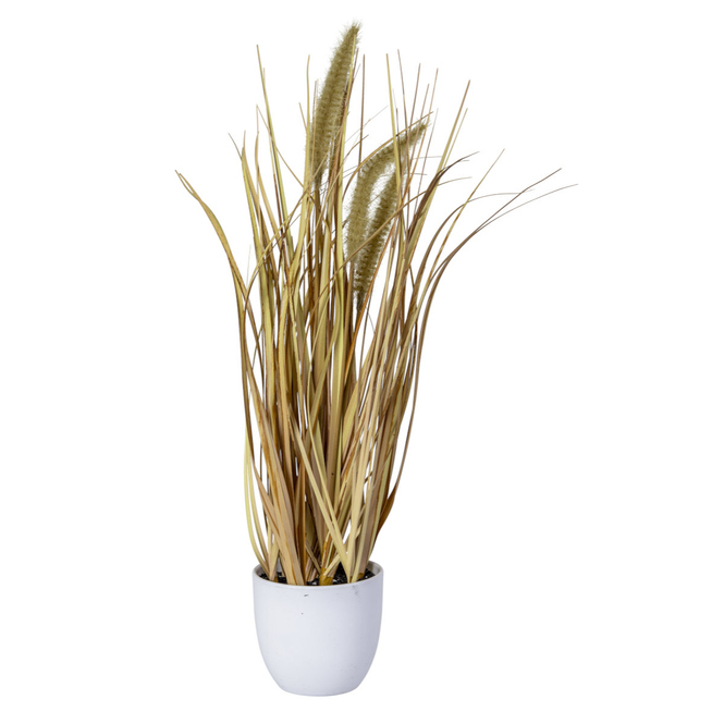 Deko-Trockengras im Topf - ca. 36 cm - 1 Stück