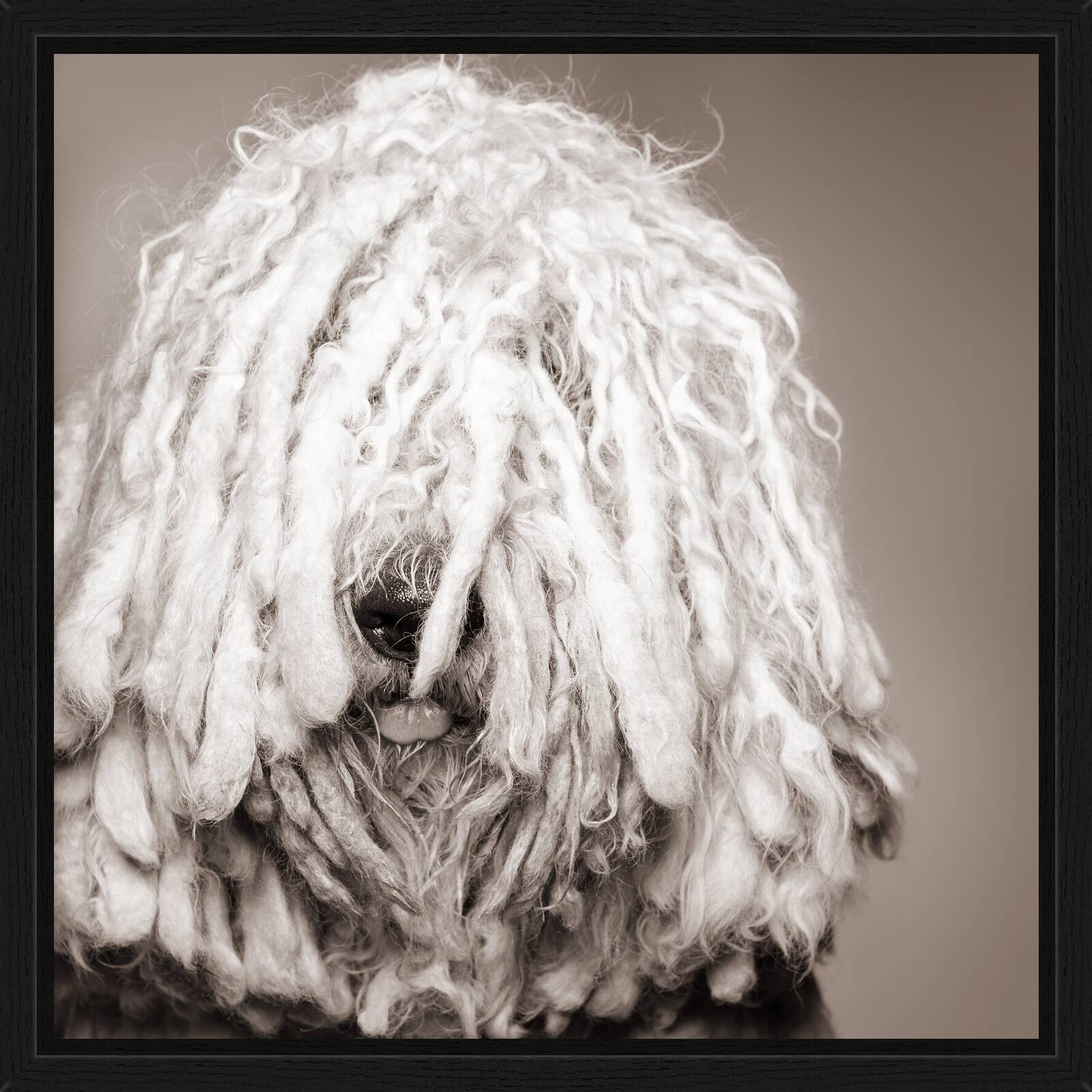 ADDISON by Catherine Ledner - Limited Edition. Edition of: 150. Signed.