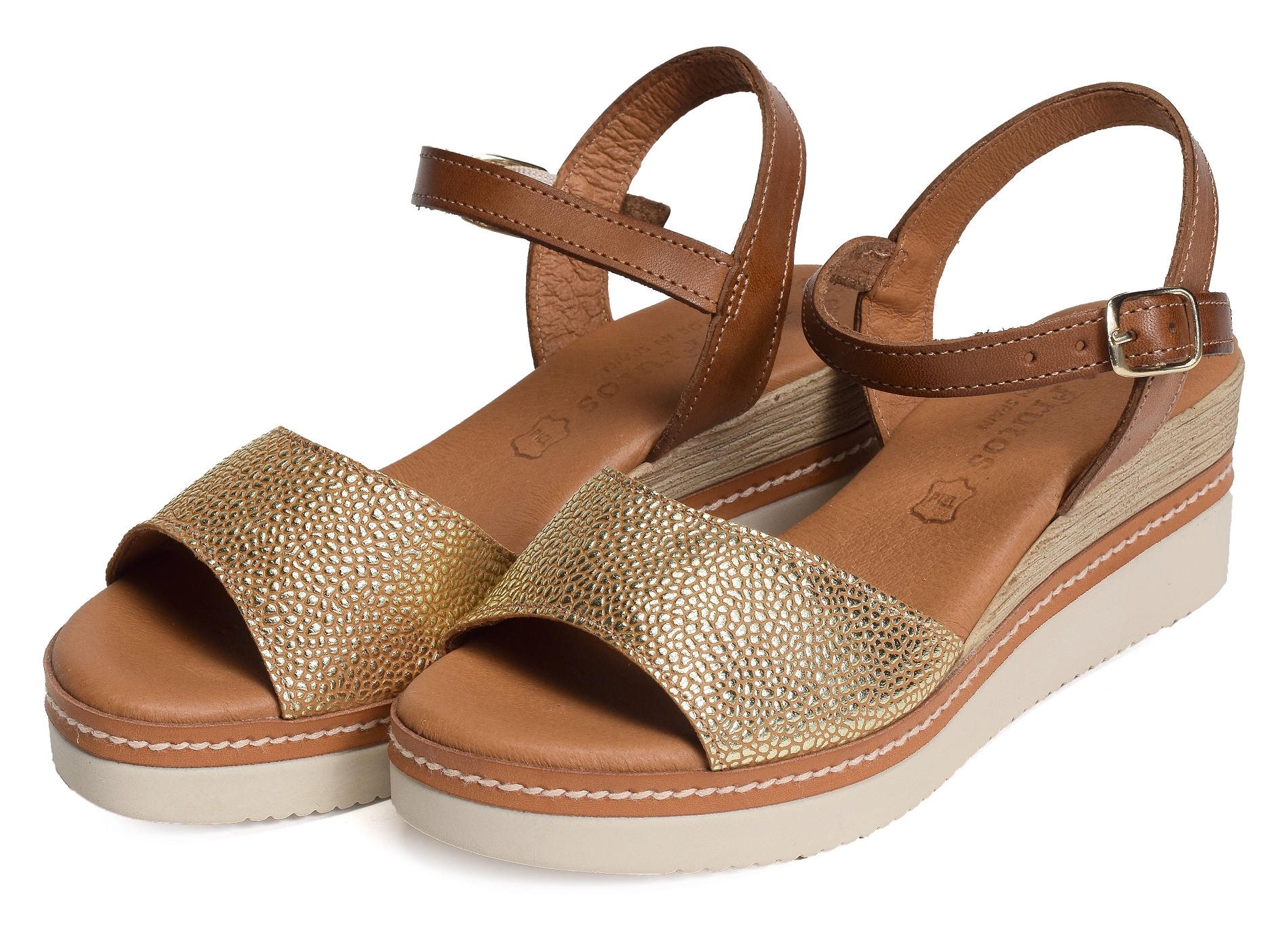 569 camel or