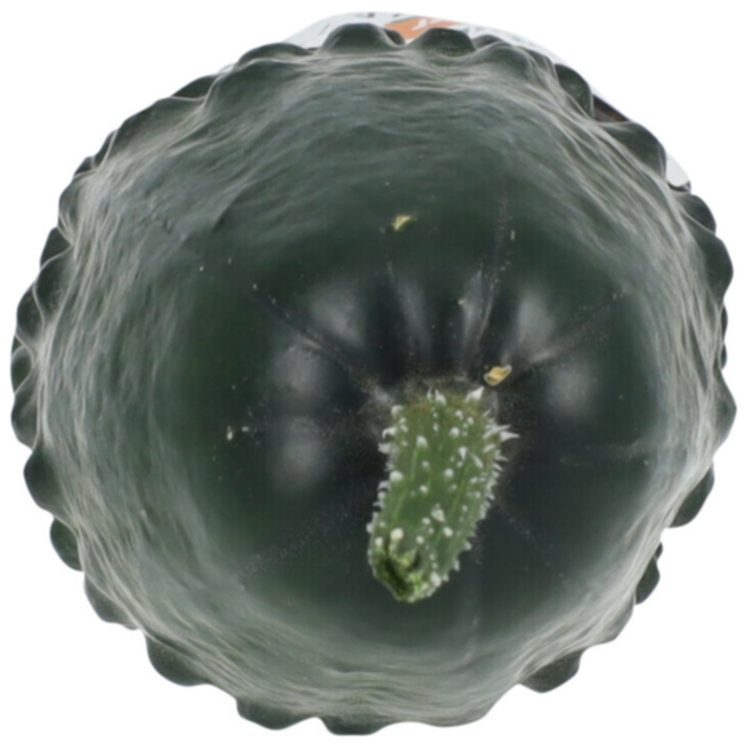 Naturaplan Demeter Bio Nostrani Gurke 1 Stück -