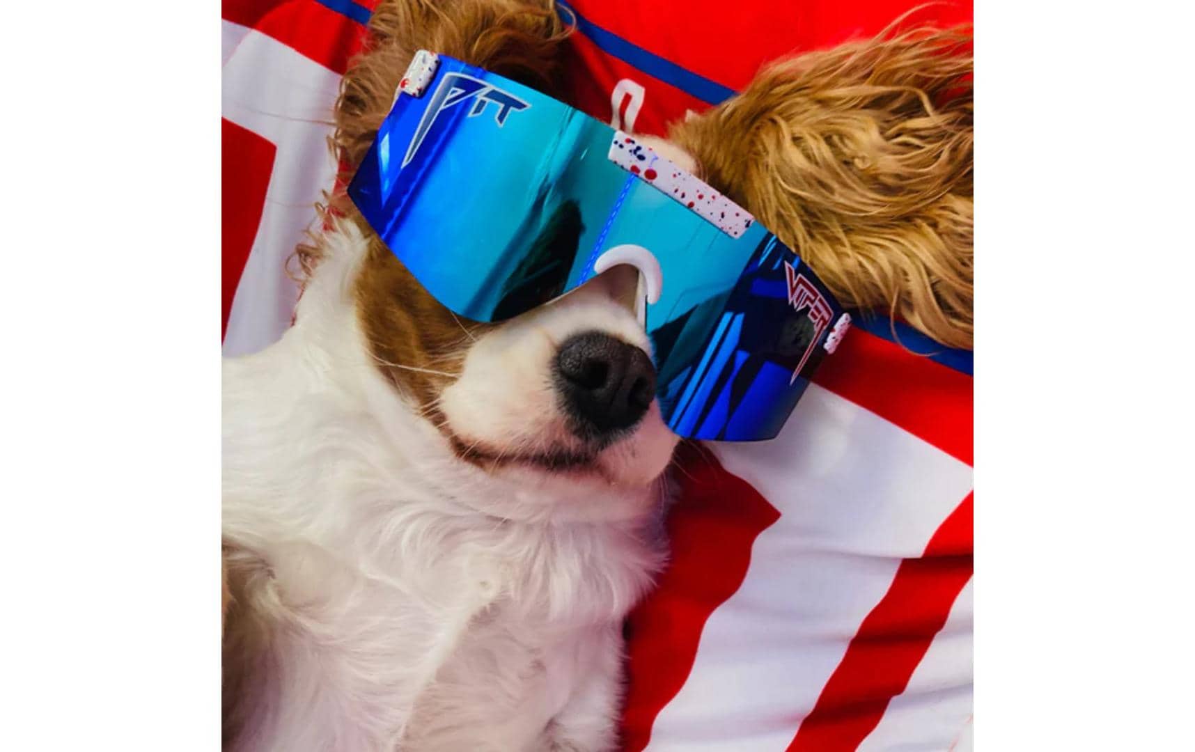 Sportbrille The Merika 2000s Polarized<br>Sportbrille mit einstellbarer Ohrhörerlänge und Linsenwinkel