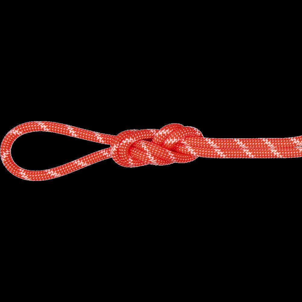 Mammut 8.0 Alpine Classic 60m Seil orange
