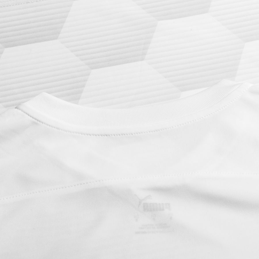 PUMA Maillot teamFINAL 21 Graphic - Blanc/Gris