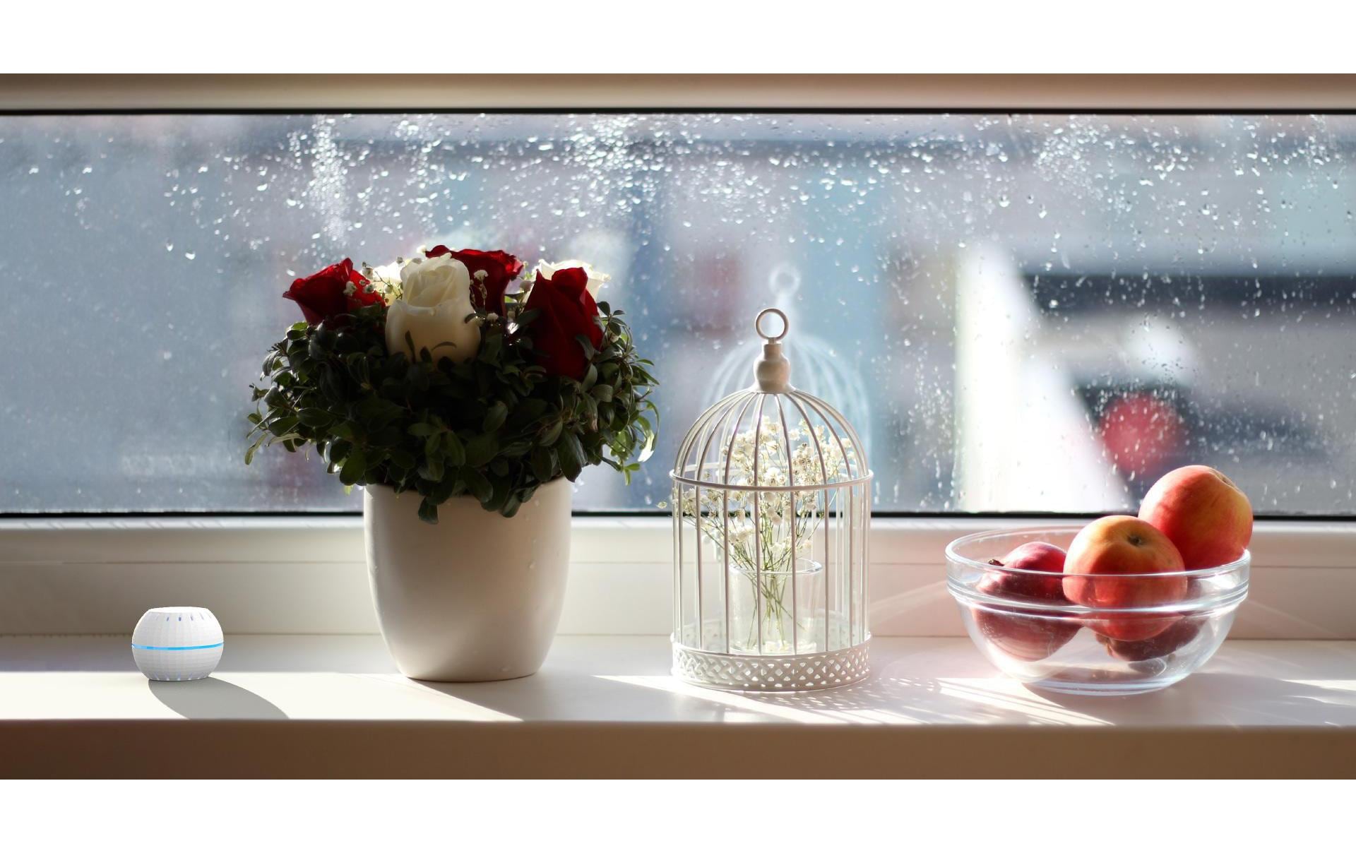 WLAN-Luftfeuchte- und Temperatursensor Shelly H&T WiFi whiteWiFi-Feuchte- und Temperatursensor