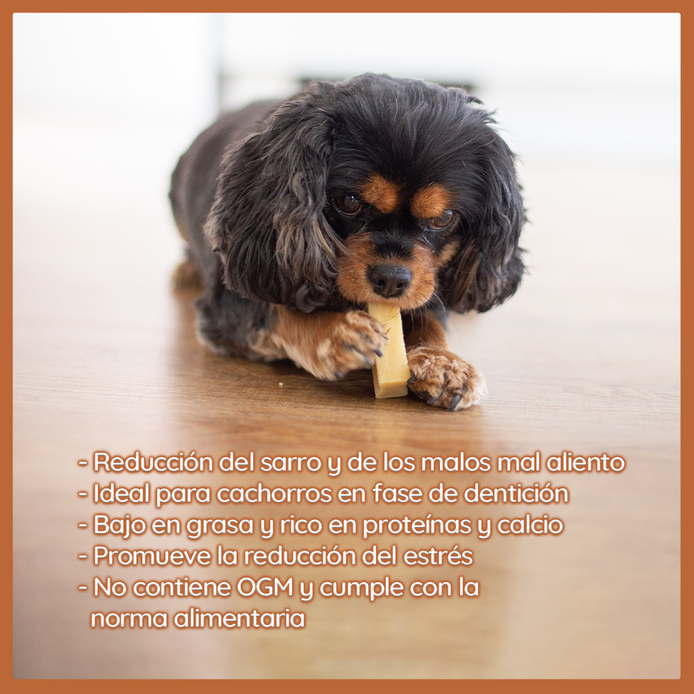 Wildfang® Palitos Mastigáveis de Queijo Duro de Iaque, Baseados na Receita Himalaia para Cães - Tamanho G