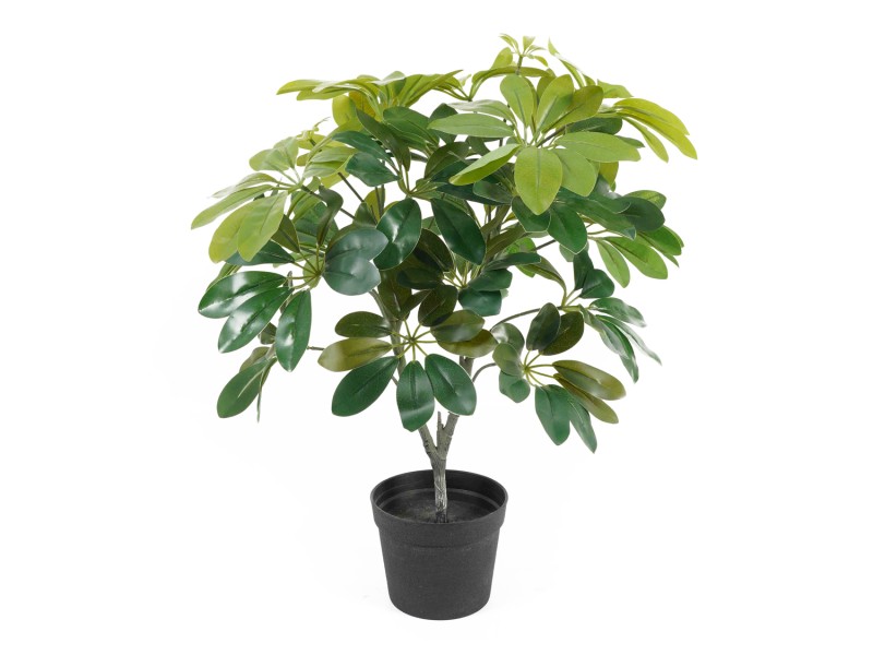 Artificial Plant Shefflera