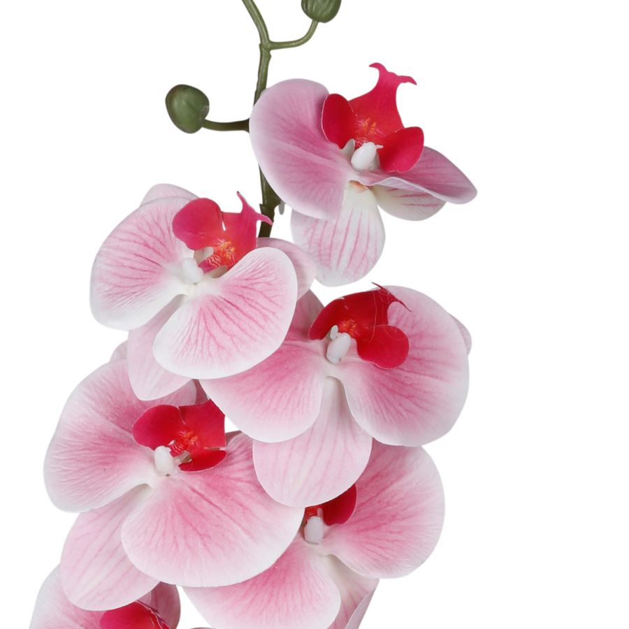 Künstliche Orchideenrispe mit 8 Blüten 103cm