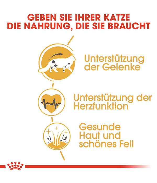 ROYAL CANIN® Trockenfutter für Katzen Maine