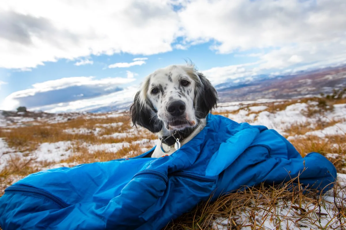 Non-stop Dogwear Ly Sleepingbag For Dog Blue