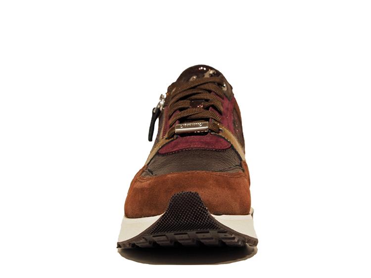 Footnotes 32.009 wijdte K 2555