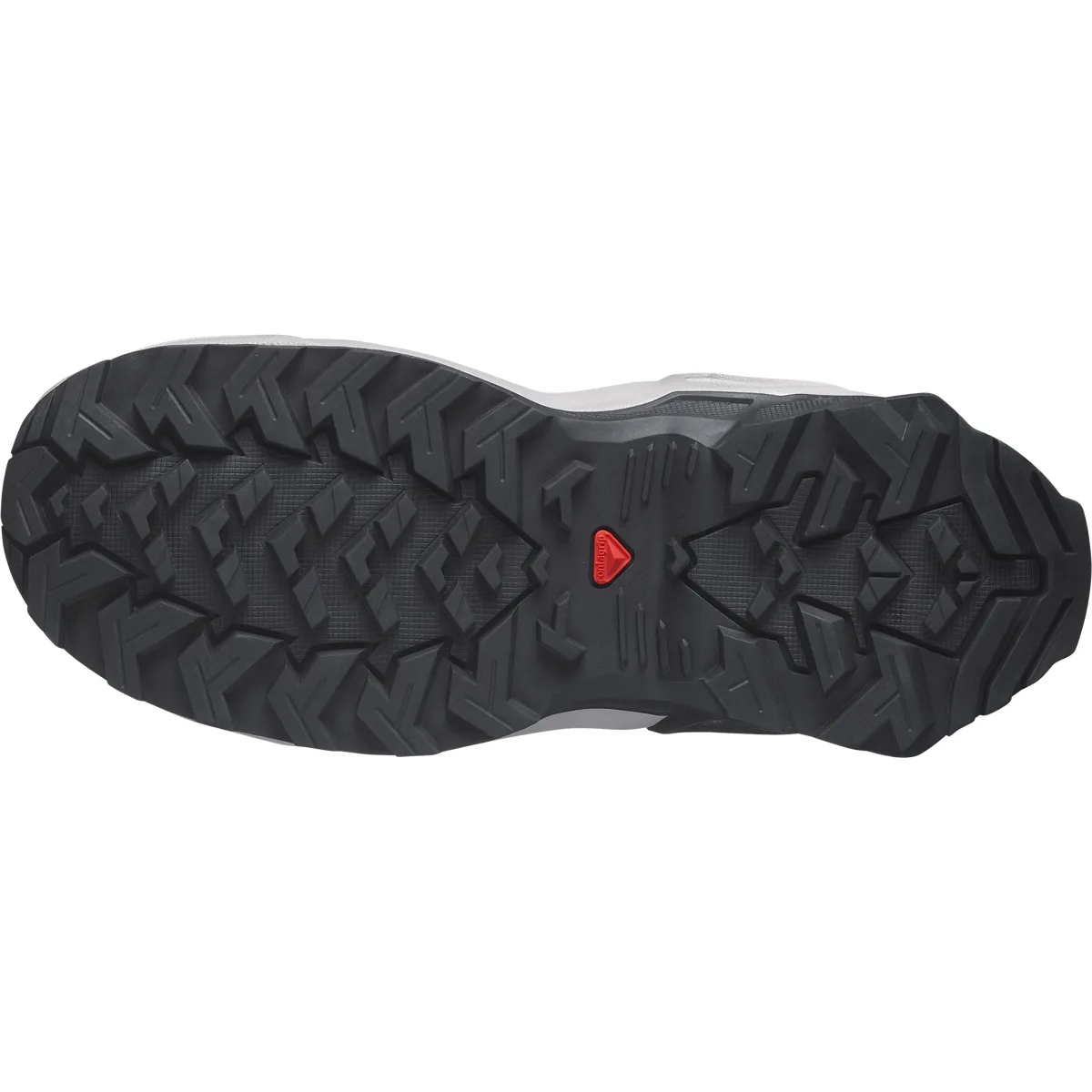 Salomon X Raise Gore-Tex Carbon / Ashes Of Roses / Clearly Aqua