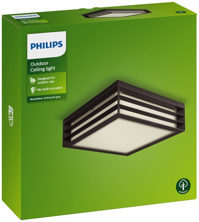 Philips Moonshine udendørs loftslampe E27