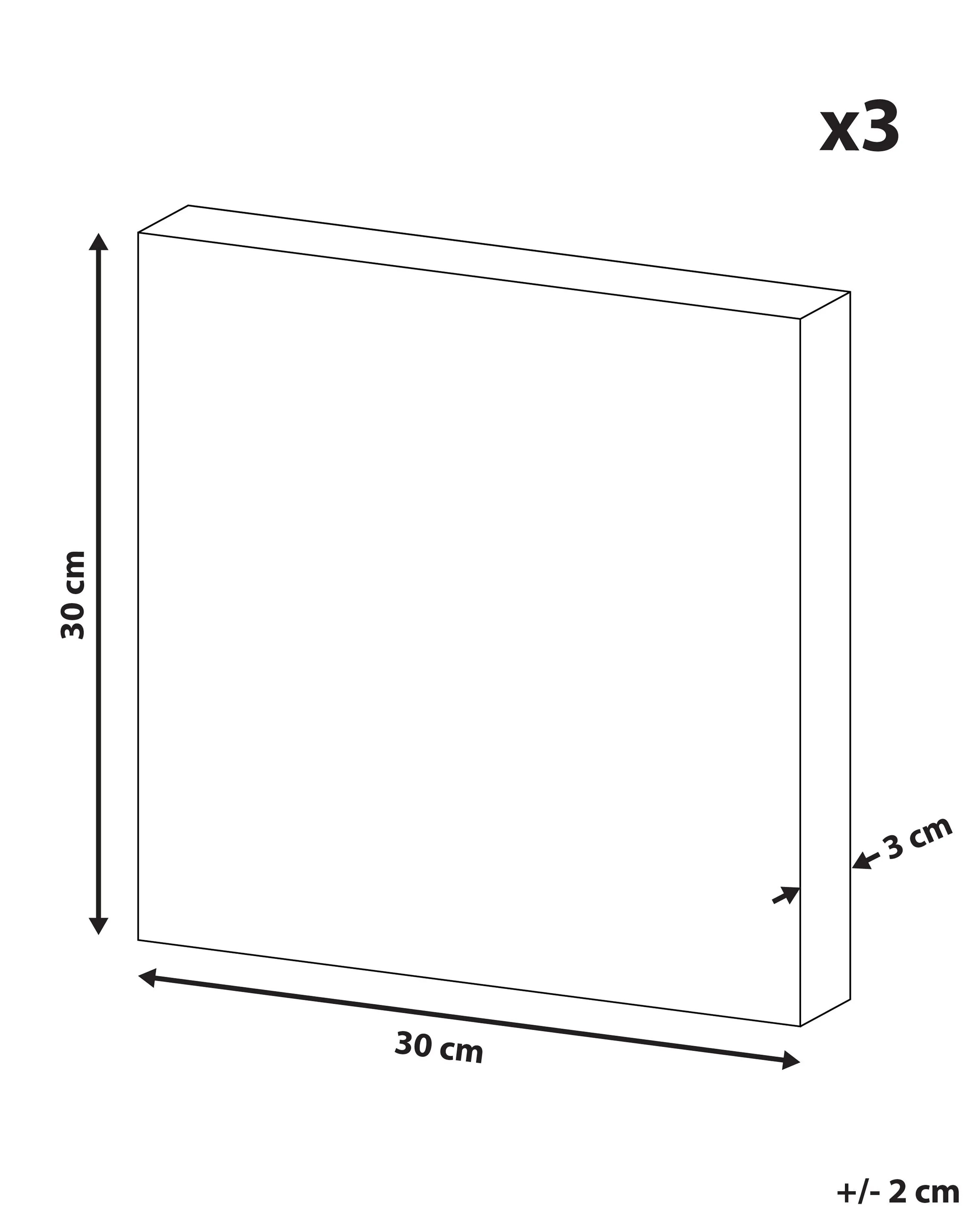 Set van 3 canvassen BINGUI Kids motief 30 x 30 cm Meerkleurig