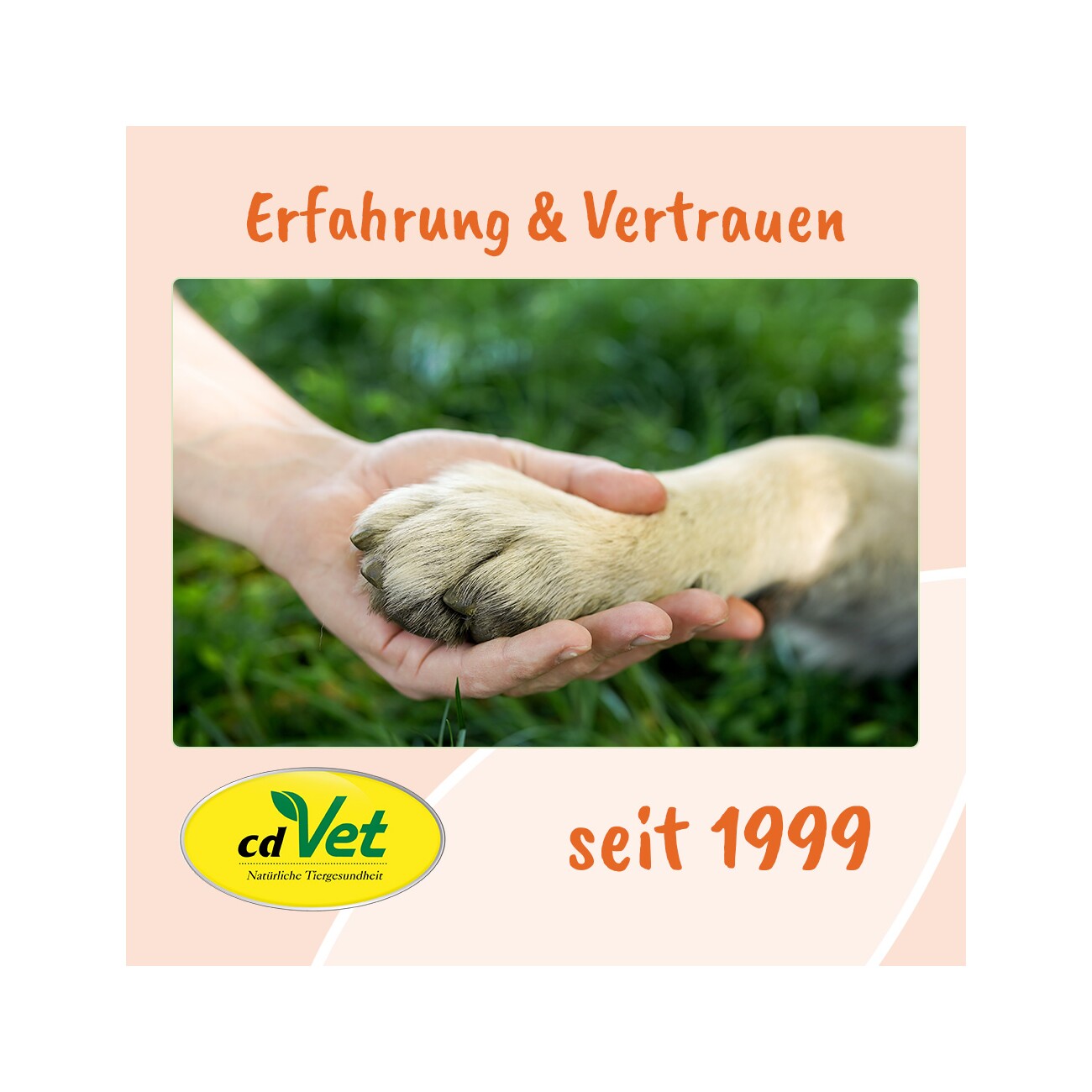 cdVet Singulares Bio-Nachtkerzenöl 50 ml
